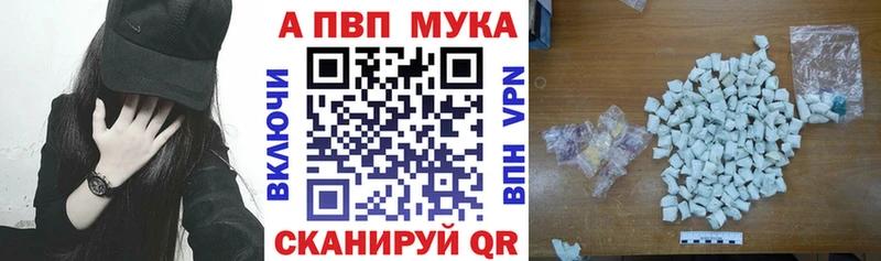 ОМГ ОМГ как войти  Кинешма  Альфа ПВП СК КРИС 