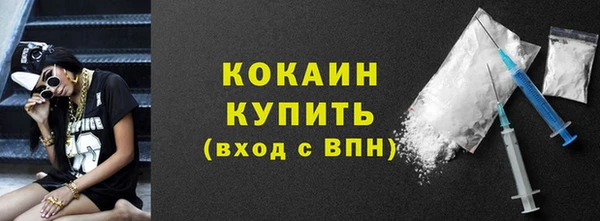 мдпв Бородино