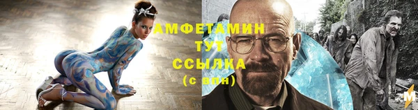 мдпв Бородино