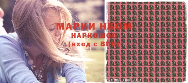 мдпв Бородино