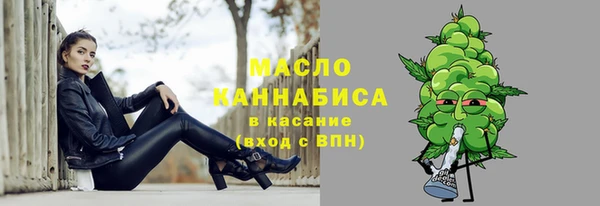мдпв Бородино