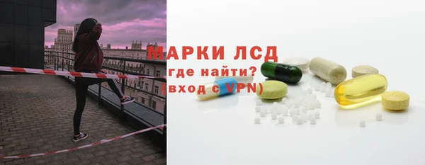 мдпв Бородино