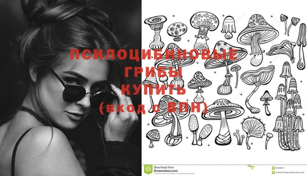 дживик Бронницы