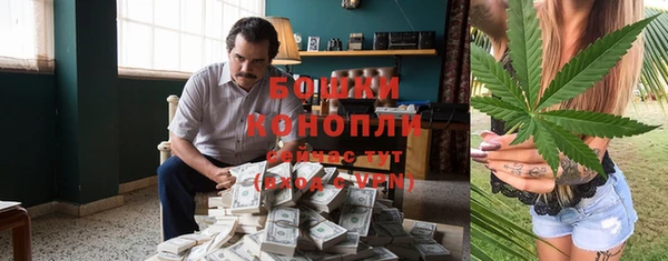 дживик Бронницы