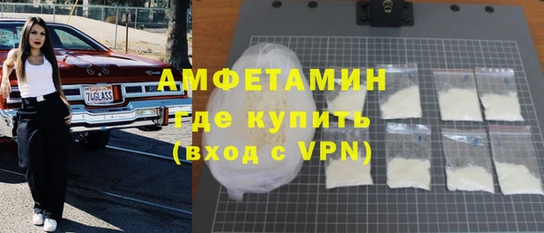 мдпв Бородино